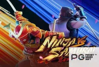 Ninja vs Samurai